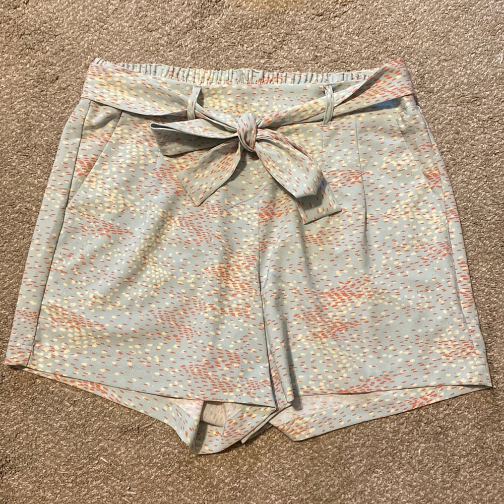 Torrid shorts